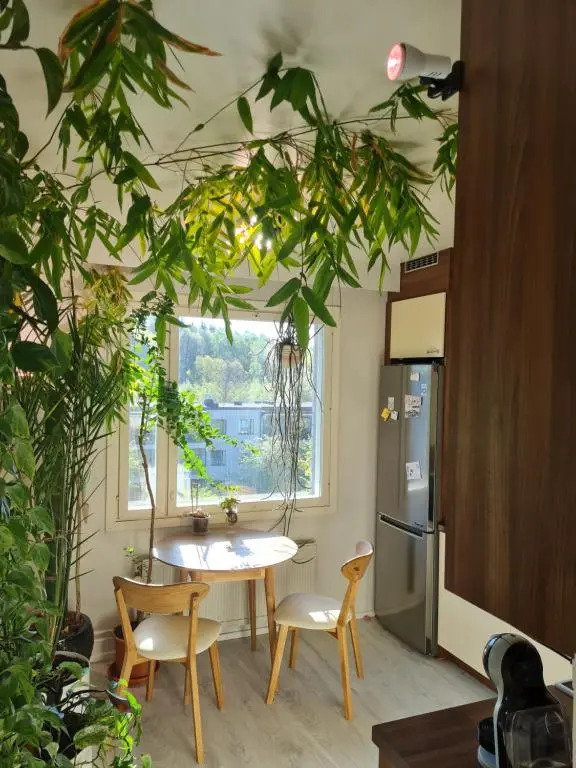 Paradise apartment