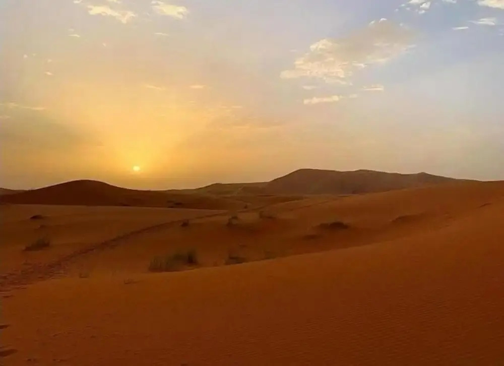 Camp Sahara Majestic
