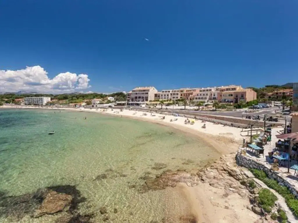Appartement Six-Fours-les-Plages, 2 pièces, 4 personnes - FR-1-316-21