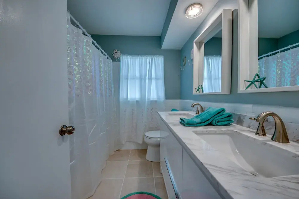 All About The Dolphins - Roelens Vacations