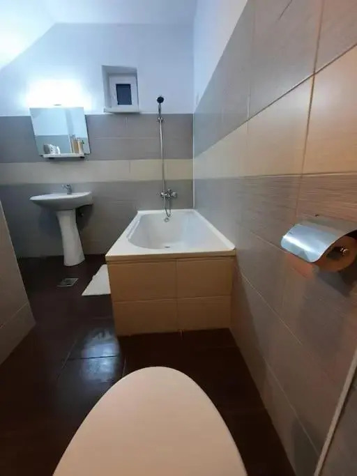 Ilinca - One Cozy Room Apartment