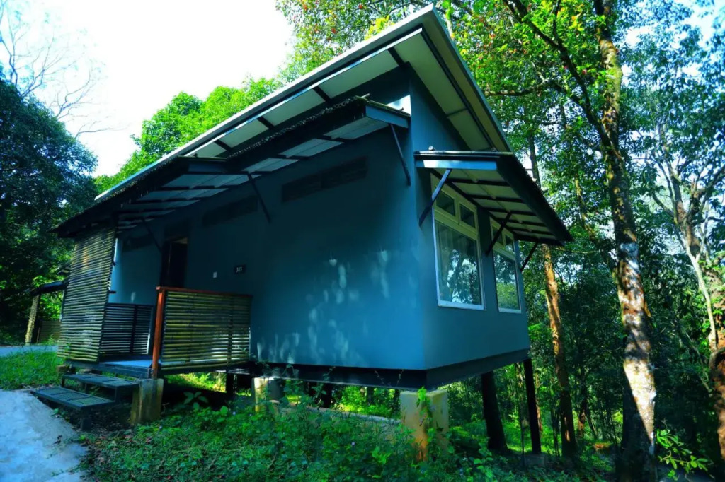 Wayanad Wild - A CGH Earth Experience