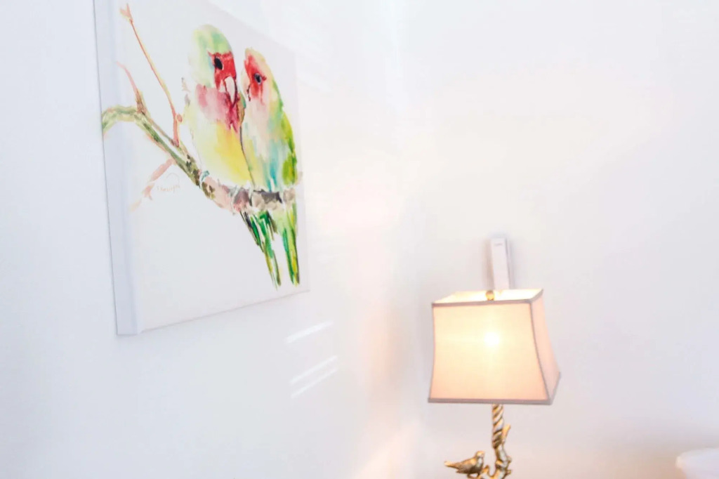 Cattleya's New Kingston Guest Apartment