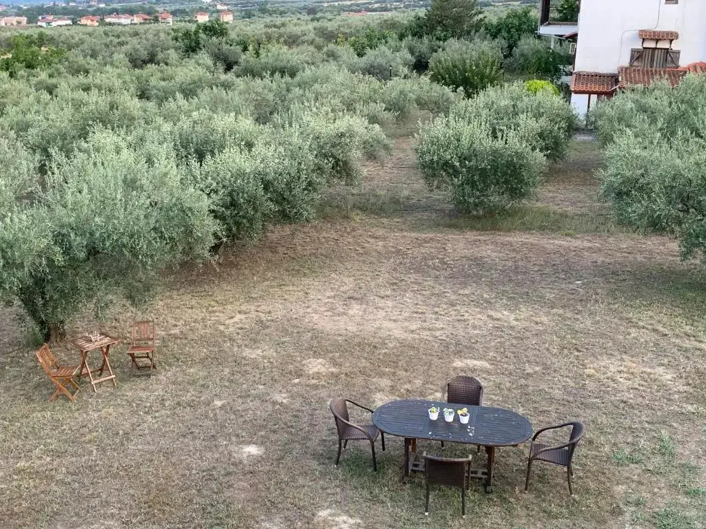 ZeusPlace Olympus Olive Country House 1