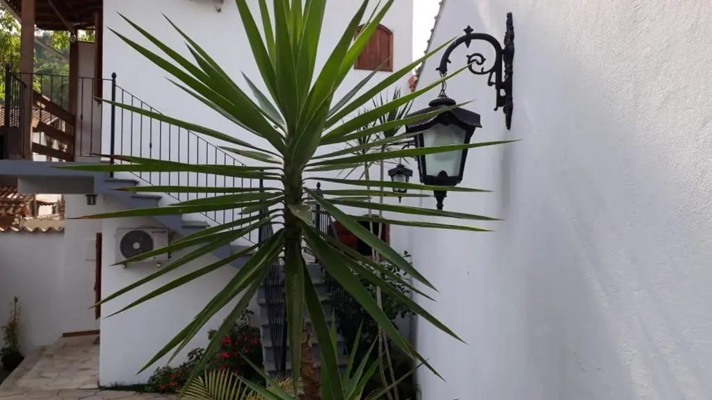 Suites Beija-Flor