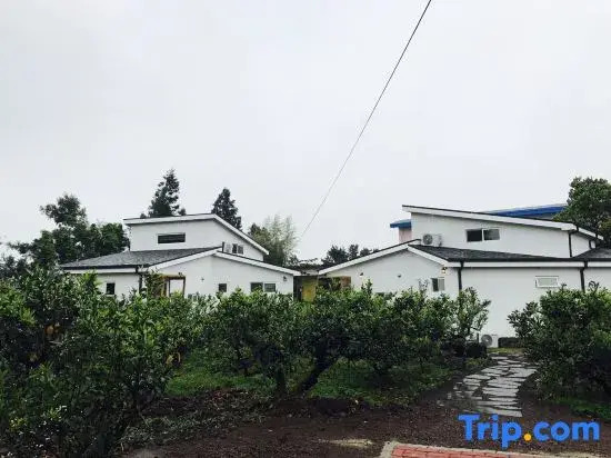 Seogwipo Jeju Woori House Pension