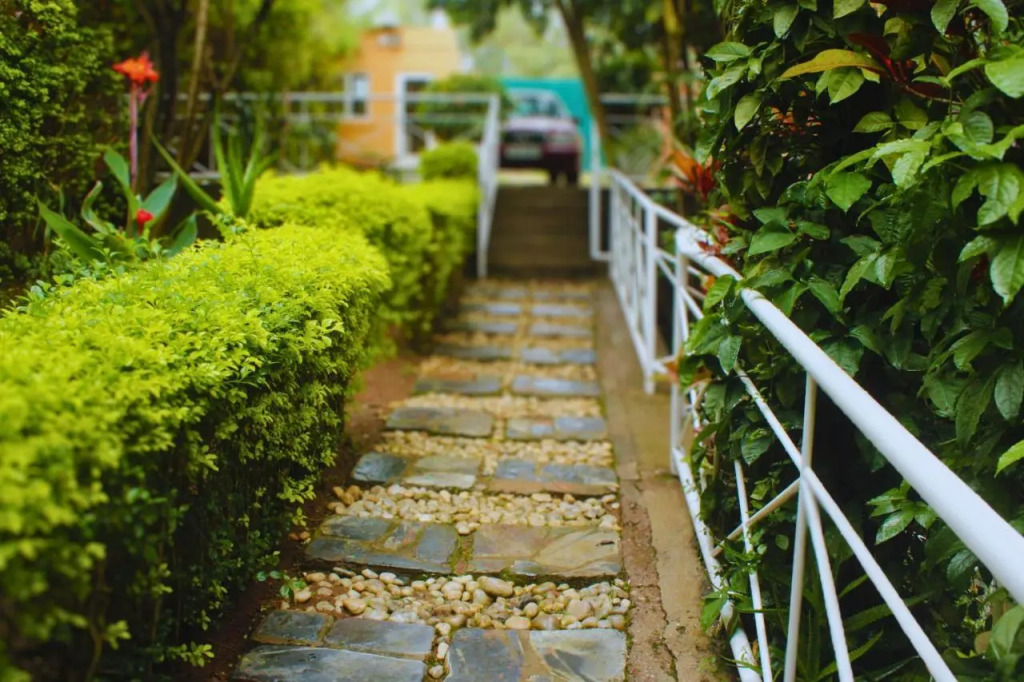 Salama Village Kigali