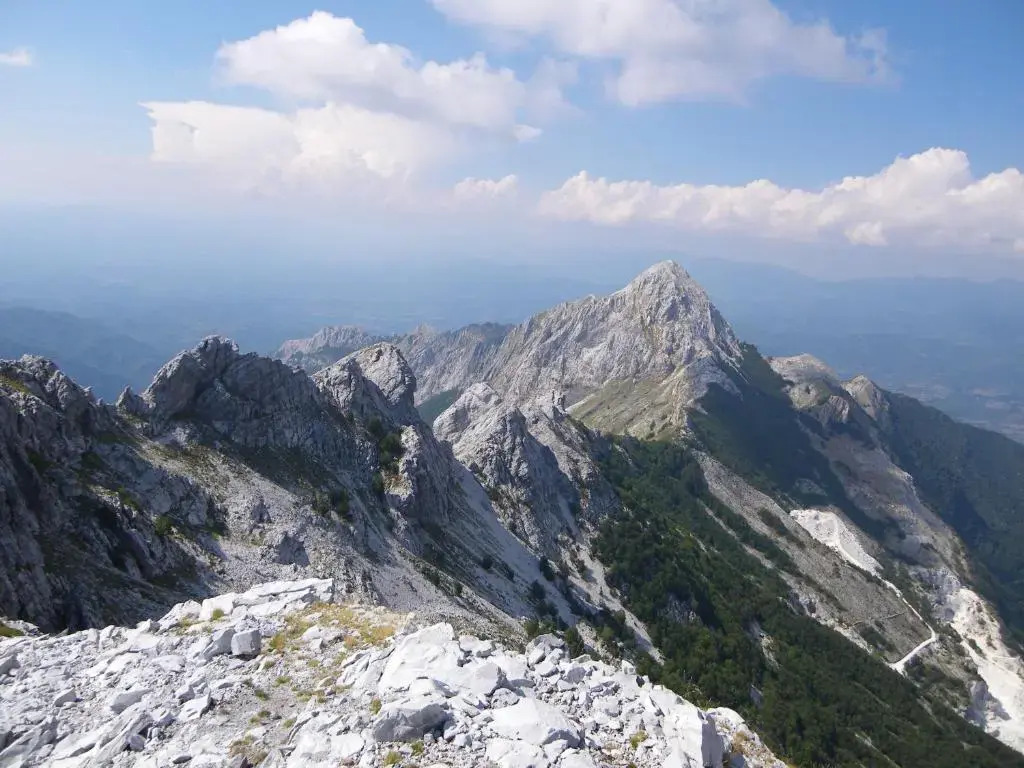 Bosco Verde Camping