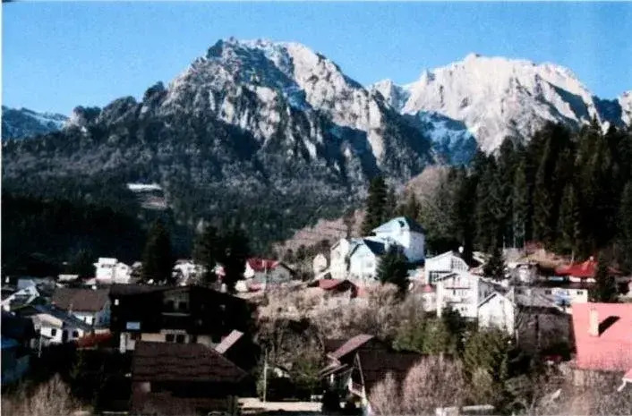 Pensiunea Valea Alba