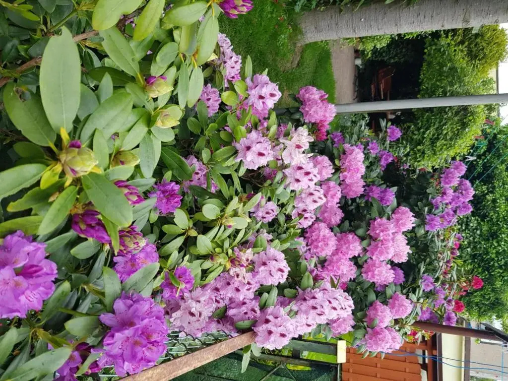 Dom Wypoczynkowy ANNA - pobyty również B&B