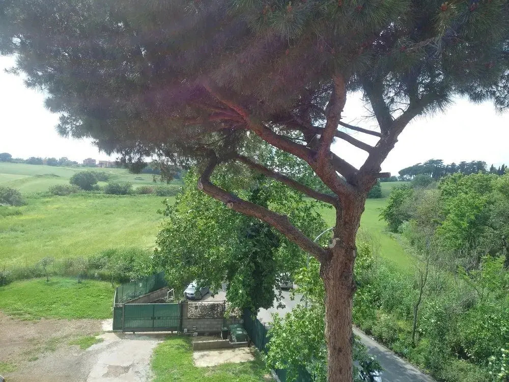 Casale Collina
