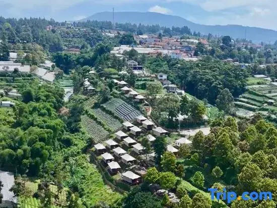 Tebing View Glamping, Azana Hotels Collection