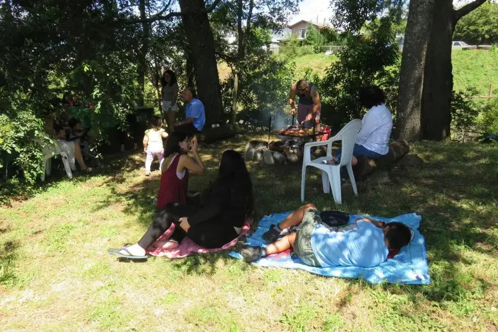 Cabañas Mis Viejos