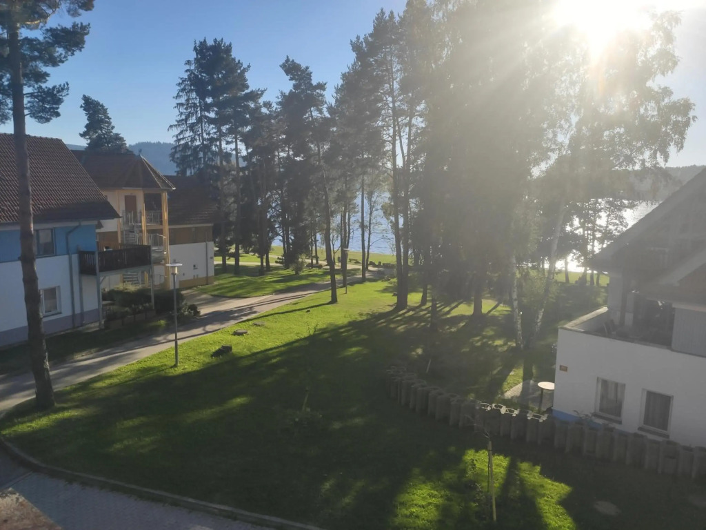 Lipno Riviéra - Myši v botě