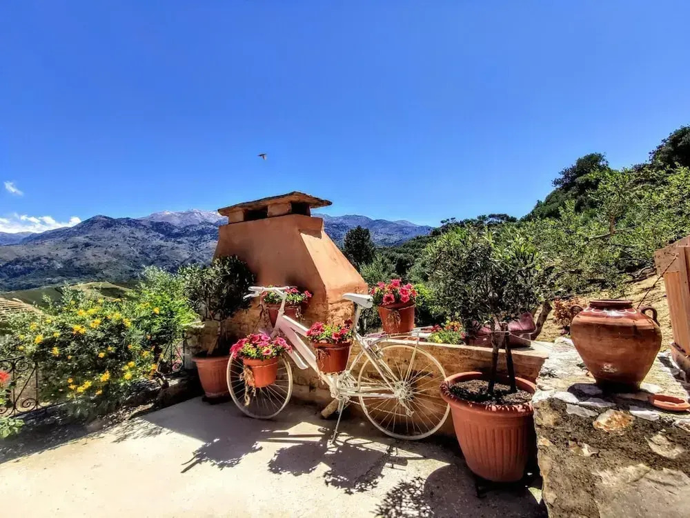 Thymes Traditional House