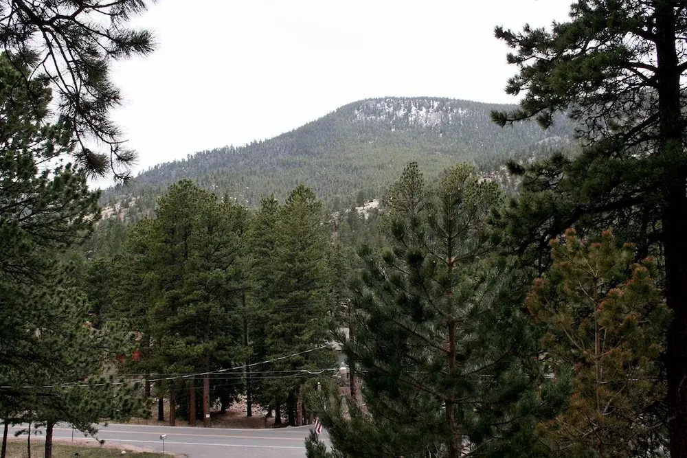 Timber Creek Chalets: 11