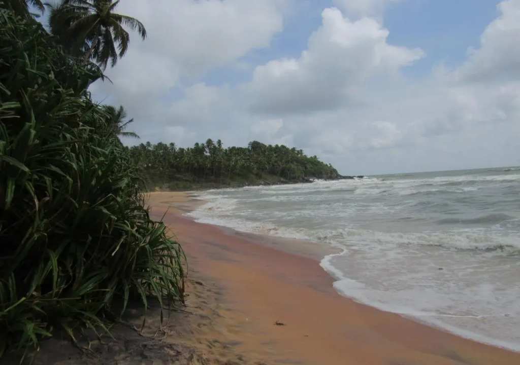 Leatherback Beach Villa