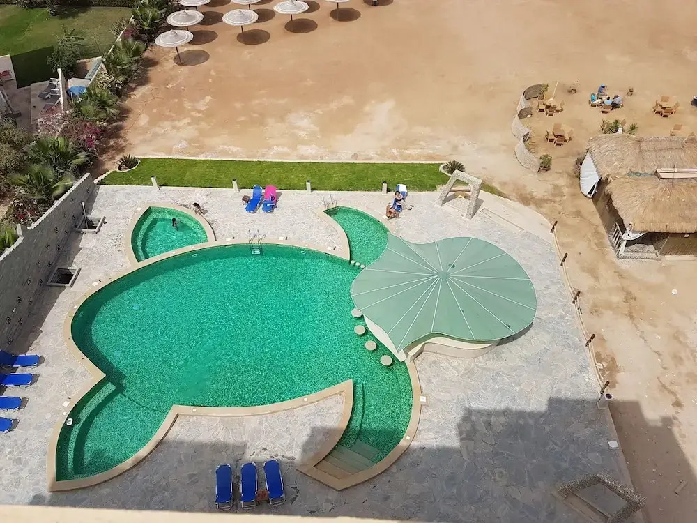SeaView Turtles