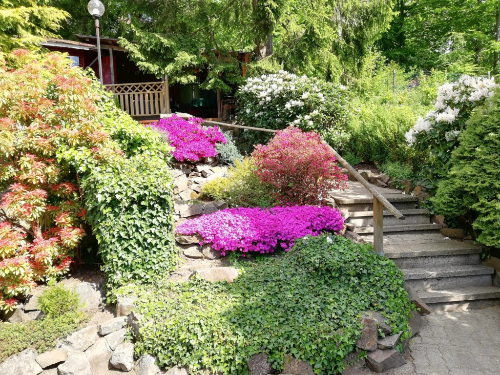 Pension Rheingold Garni