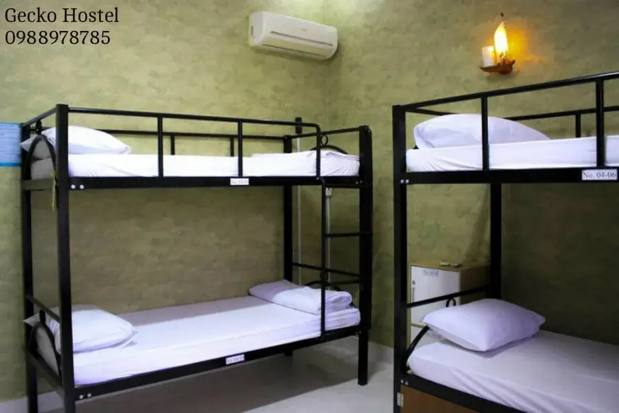 Gecko Hostel