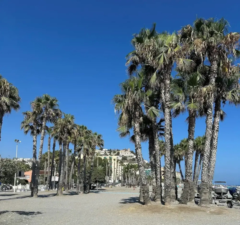 Casa del Patio