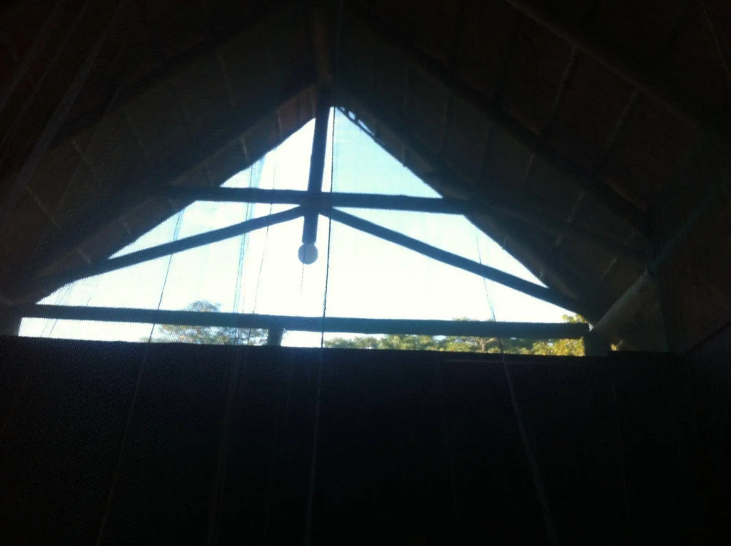 Lion Roars Lodge