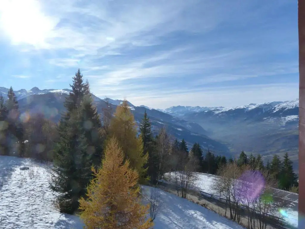 Appartement Les Arcs 1800, 1 pièce, 4 personnes - FR-1-411-642