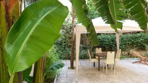 Nucleus Holidays - Vatican Rome