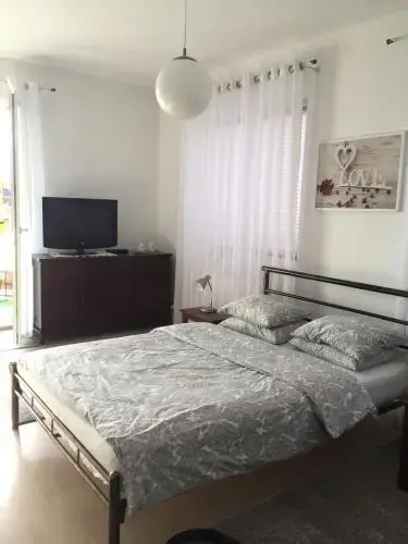 Zielone Studio