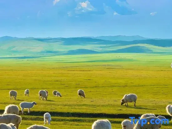 Pusu Unmanned Smart Hotel (Hulunbuir Ancient City Pedestrian Street)