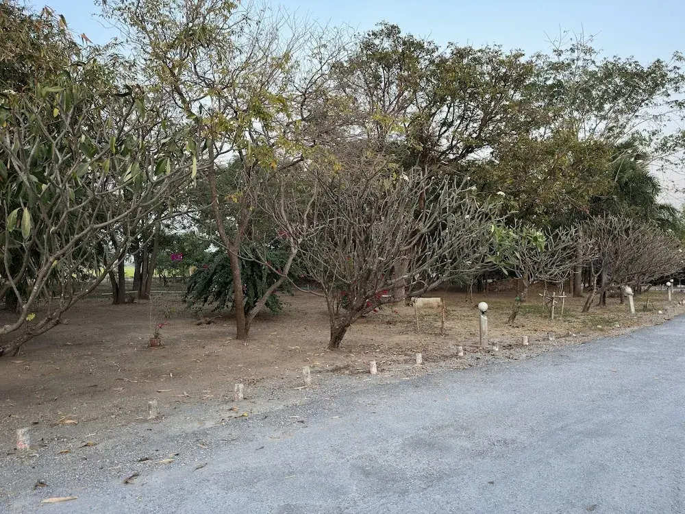 Maingam Resort