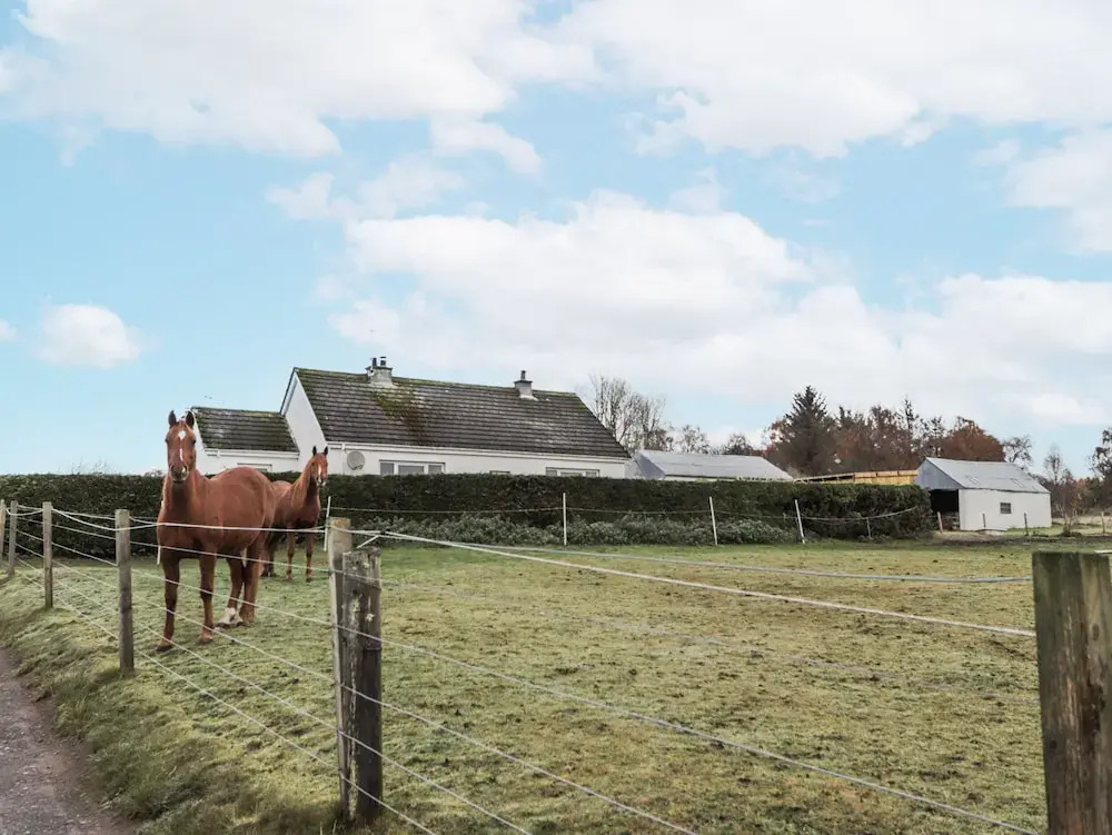 The Croft House