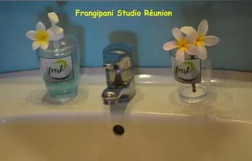 Frangipani Studio Réunion
