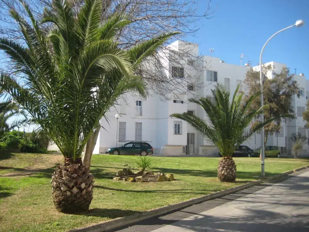0505 SolyMar