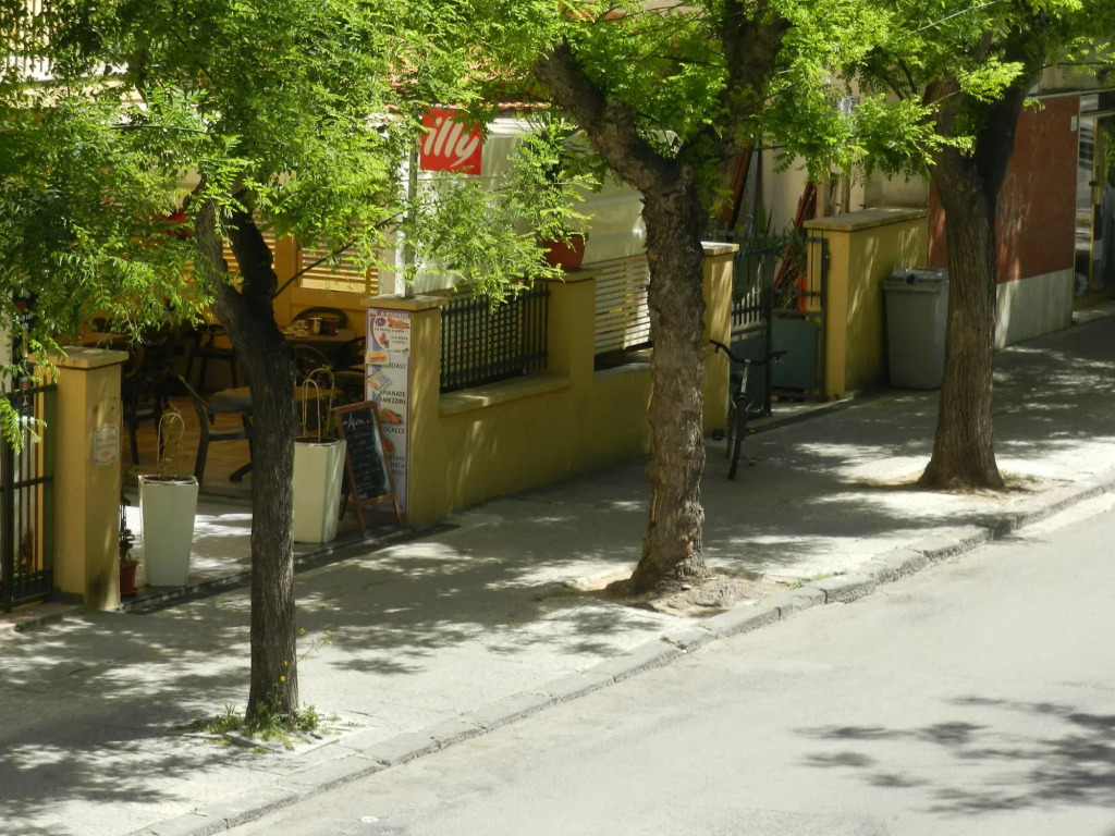 Actinia Accommodation