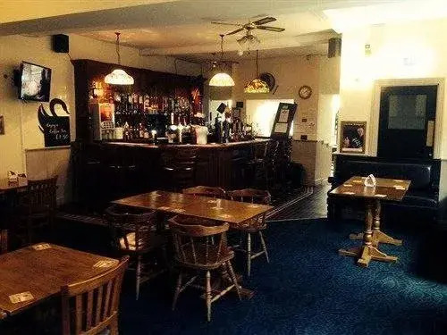 The Swan