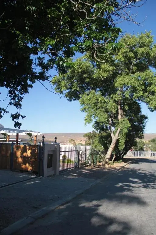 The Vine