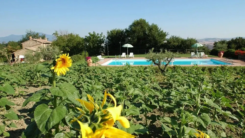 Agriturismo Poggio Porsenna