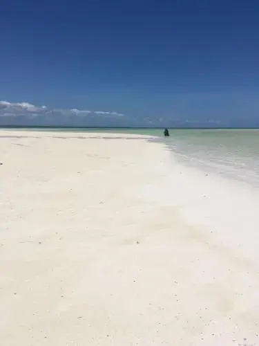 Barefoot Zanzibar
