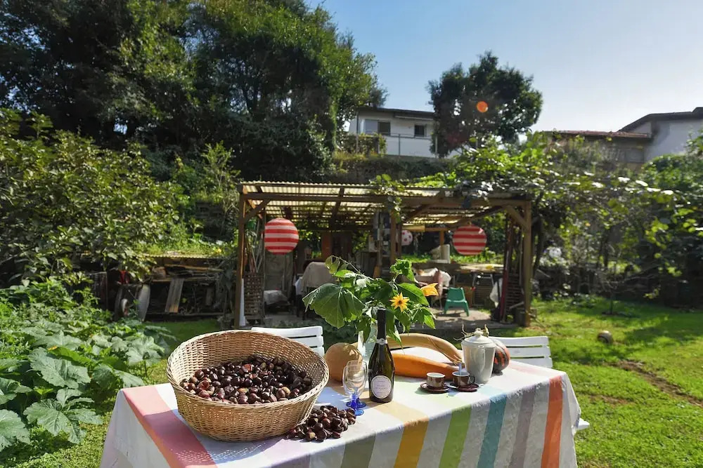 Petit Jardin