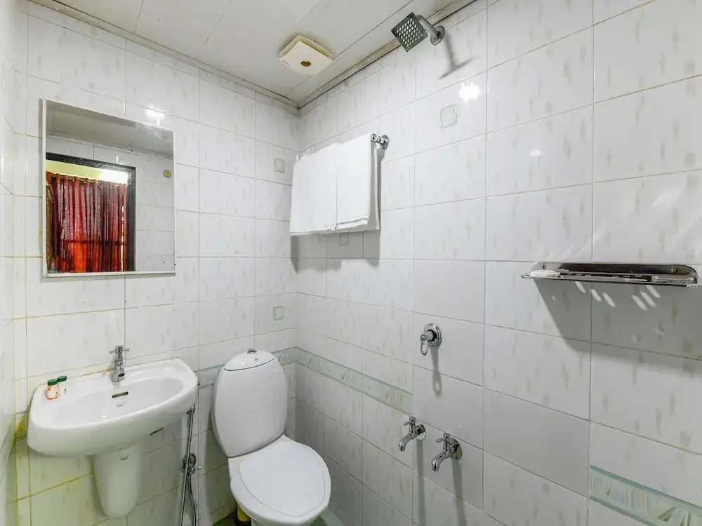 OYO 11309 Hotel Green Land Residency