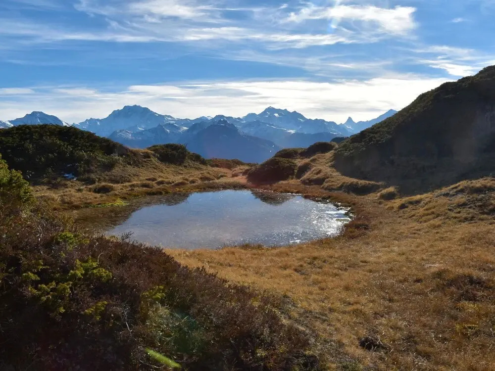 S Dlenz 41 Riederalp