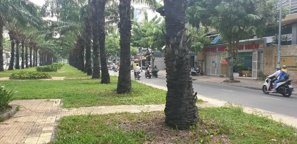 Hotel Minh Minh Hieu