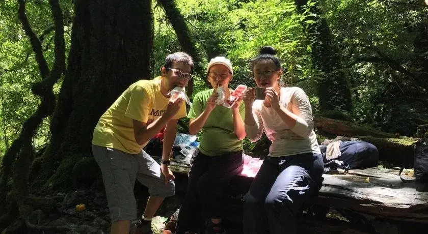 Yakushima Youth Hostel