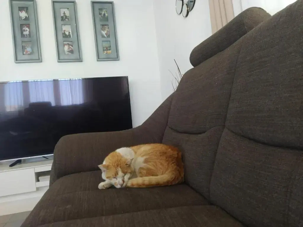 Apartment Juric