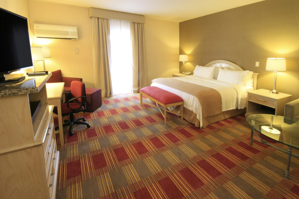 Holiday Inn Monclova by IHG