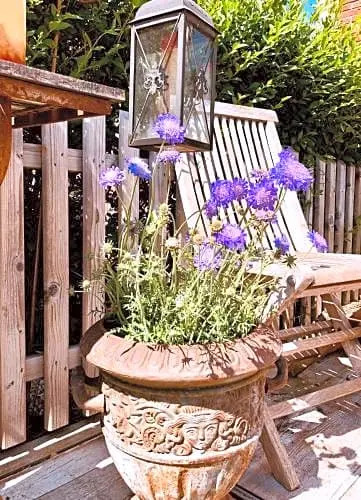 B&B La Corneille
