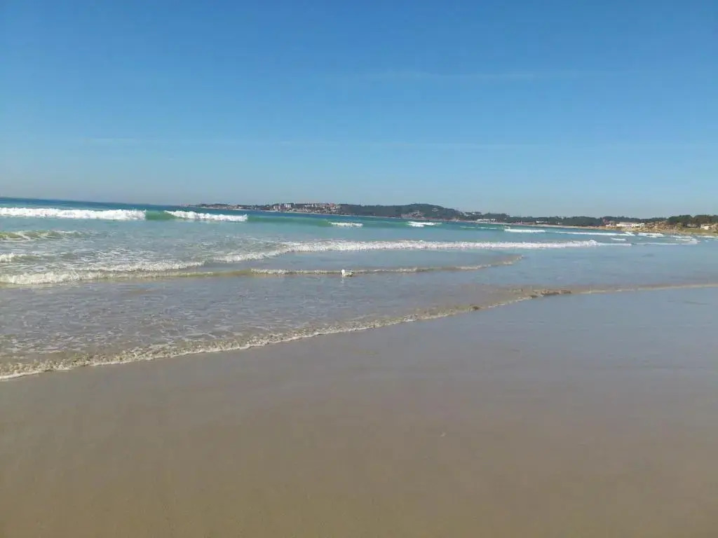 9 Olas