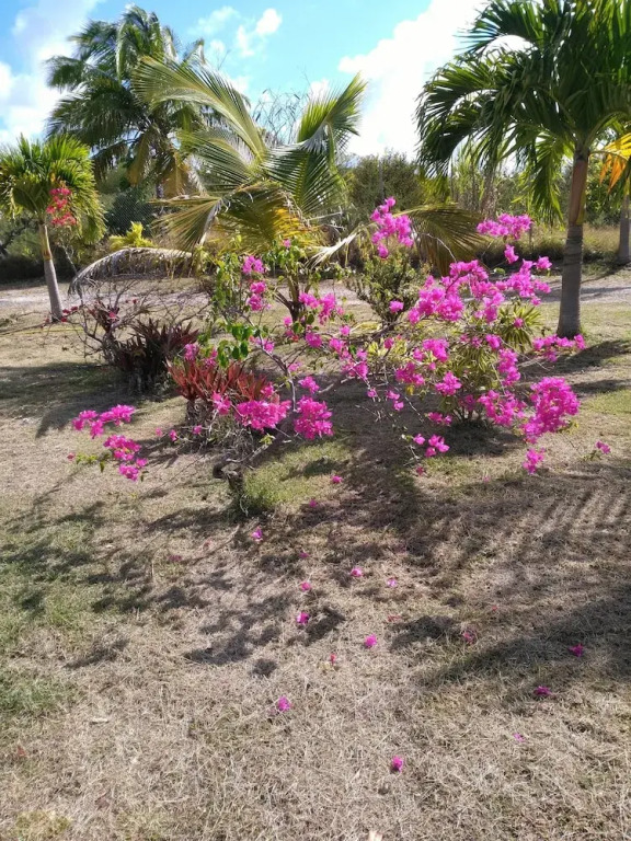 Villa Orquidéa