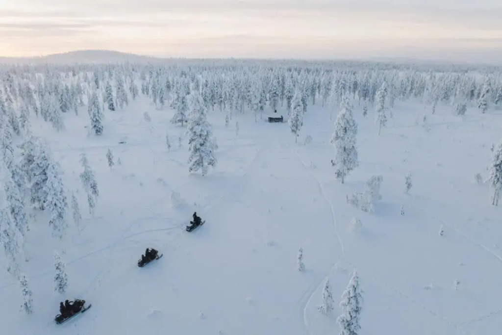 Wilderness Hotel Kieppi